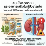 สมุนไพร วิตามิน และอาหารเสริมในผู้ป่วยโรคไต: “ธรรมชาติ” ไม่ได้หมายความว่าปลอดภัยเสมอไป
