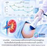 รายงานผลการศึกษาการทำการบำบัดผู้ป่วยโรคไตเรื้อรังด้วยคลื่นกระแทกพลังงานต่ำ (eHAT)   การทดลองแบบสุ่มมีกลุ่มควบคุมโดย SHEBA Medical Center